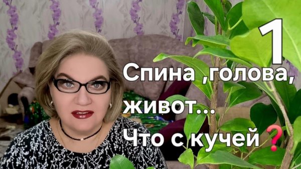 1 часть. Спина, голова, живот...Что с кучей❓️