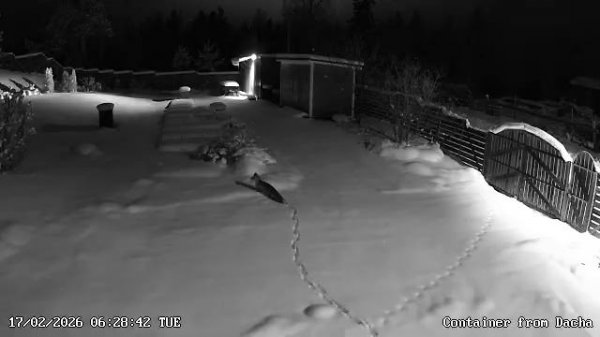 01_20260217062834000