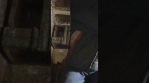 VID_20260217_154837.mp4