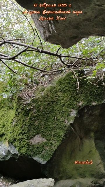 15 февраля 2026 г. Алупка. Воронцовский парк. Малый Хаос #ялта #ялта2026 #алупка #воронцовскийпарк