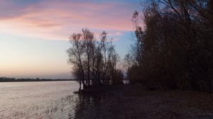 Рубрика "Мои фотографии"