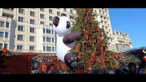 Москва  17.02.2026   Китайский  новый год