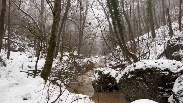 Поход зимние водопады Руфабго январь 2026 смотреть онлайн