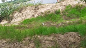 эксперимент с бутылкой ЧАСТЬ 20