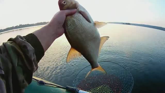 ВЕДРО ПРИКОРМКИ ПРИМАНИЛО ВСЕХ ЛЕЩЕЙ.ЛОВЛЯ ЛЕЩА С ЛОДКИ.ДОНКИ.ВОЛГА. смотреть онлайн