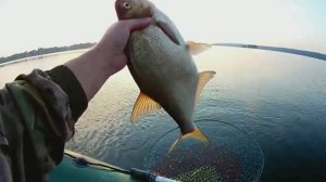 ВЕДРО ПРИКОРМКИ ПРИМАНИЛО ВСЕХ ЛЕЩЕЙ.ЛОВЛЯ ЛЕЩА С ЛОДКИ.ДОНКИ.ВОЛГА.