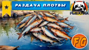 РАЗДАЧА ТРОФЕЙНОЙ ПЛОТВЫ на ЛАДОЖСКОМ ОЗЕРЕ. Трофейная Плотва. Russian Fishing 4. Русская рыбалка 4