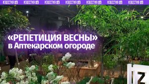 Выставка «Репетиция весны» проходит в «Аптекарском огороде»