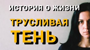 Истории из жизни|ТРУСЛИВАЯ ТЕНЬ|Аудио рассказы|Аудиокниги слушать онлайн|Жизненные истории