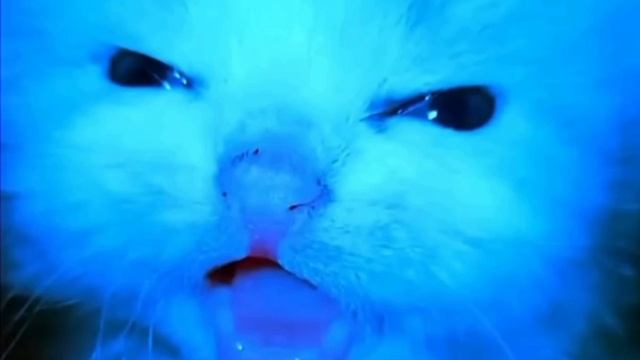 Отложил дела на завтра, а они наступили