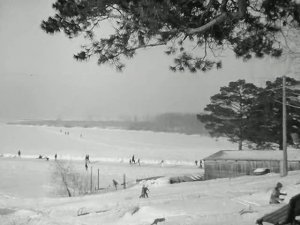 1971 год. Тюменский район. Турбаза "Верхний бор". Выходной день.