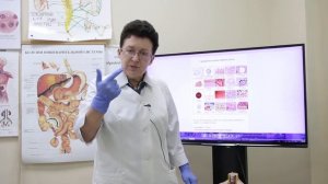 Сроки восстановления тканей нашего организма.