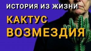 Истории из жизни|КАКТУС ВОЗМЕЗДИЯ|Аудио рассказы|Аудиокниги слушать онлайн|Жизненные истории