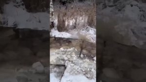 Советская техника до сих пор актуальна!