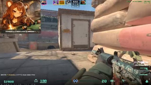 🐻КИБЕРСПОРТИВНЫЙ МИШКА🤎 ДНЕВНОЙ ПОТОК🤗