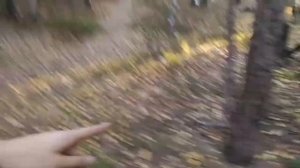 выживание в лесу ЧАСТЬ 17