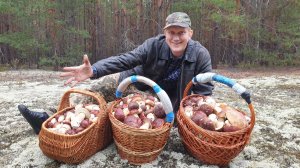 ЁПЭРЭСЭТЭ ! Я В ОБМОРОКЕ ! БОРОВИКИ БЕЛЫЕ ГРИБЫ РАСТУТ ПОЛЯМИ ! КОСА ЗАТУПИЛАСЬ !