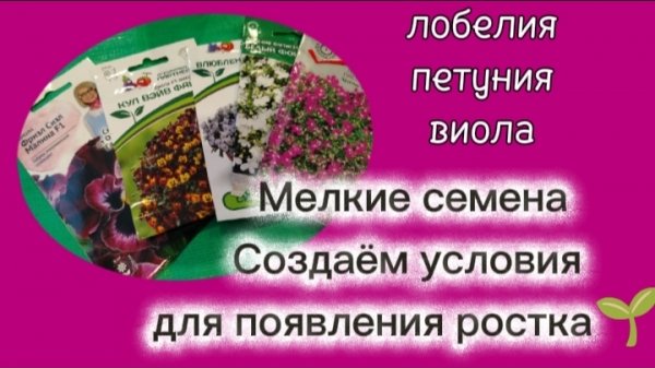 На что обращать внимание при посеве очень мелких семян для быстрого Всхода.