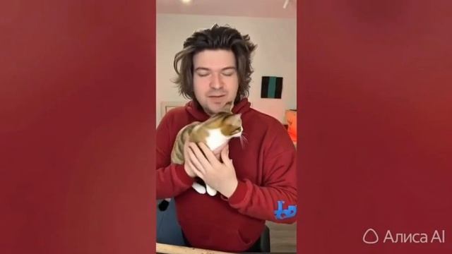 ИИ фидео фиксая