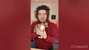 ИИ фидео фиксая