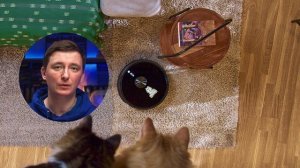 Лучший робот-пылесос в 2026 году