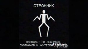 объект (странник)