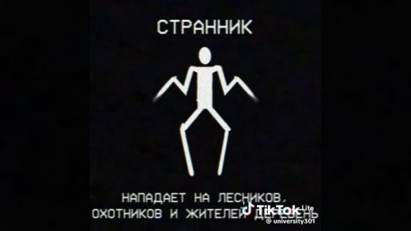 объект (странник)