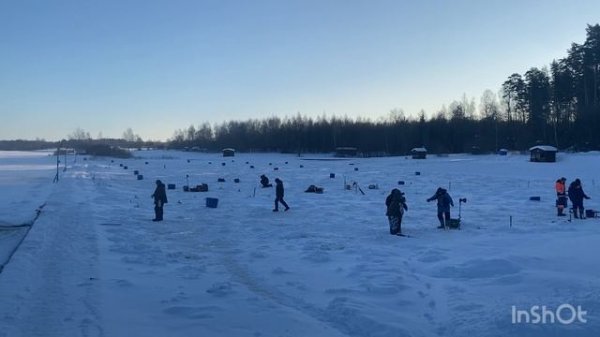 Ежедневное пополнение водоема форелью