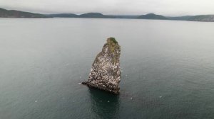 Морские экскурсии Азимут Тур - Бухта Русская - Камчатка