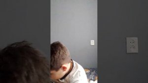 трансляция с животными