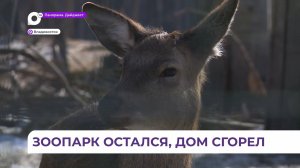 Зоопарк на Садгороде продолжает работать, несмотря на произошедший пожар