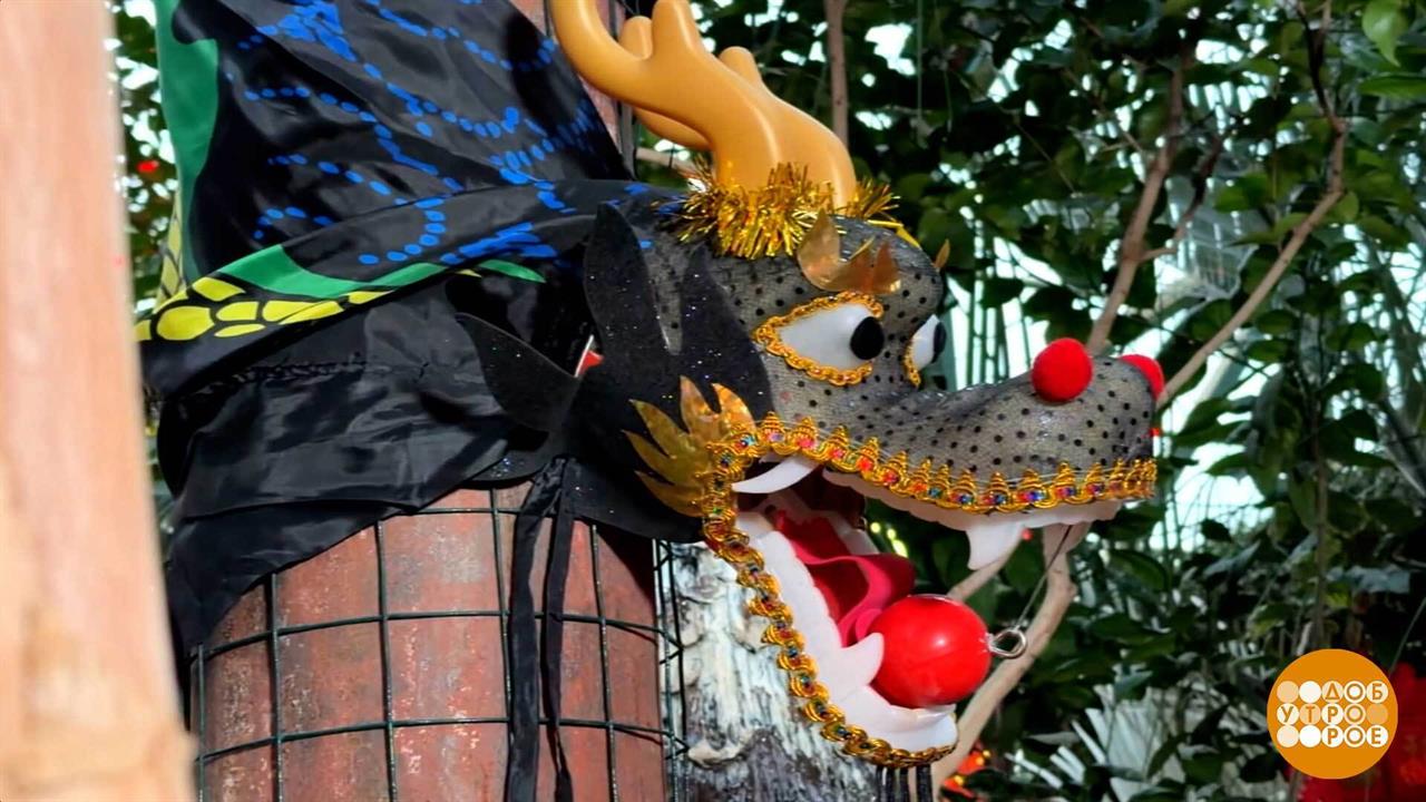 И снова - Новый год! Здравствуй, Огненная Лошадь! Доброе утро. Фрагмент выпуска от 17.02.2026 смотреть онлайн