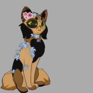 Тень Луны и Пальмовая Звезда. Коты в Клане Лунных Камней