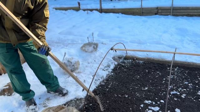Хотели посеять лук, но ничего не вышло!