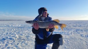 Рыбалка на жерлицы. Взяли трофея. Трофейная щука.