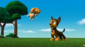 Щенячий патруль