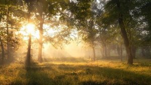 Солнечный Лёд - Проснись.