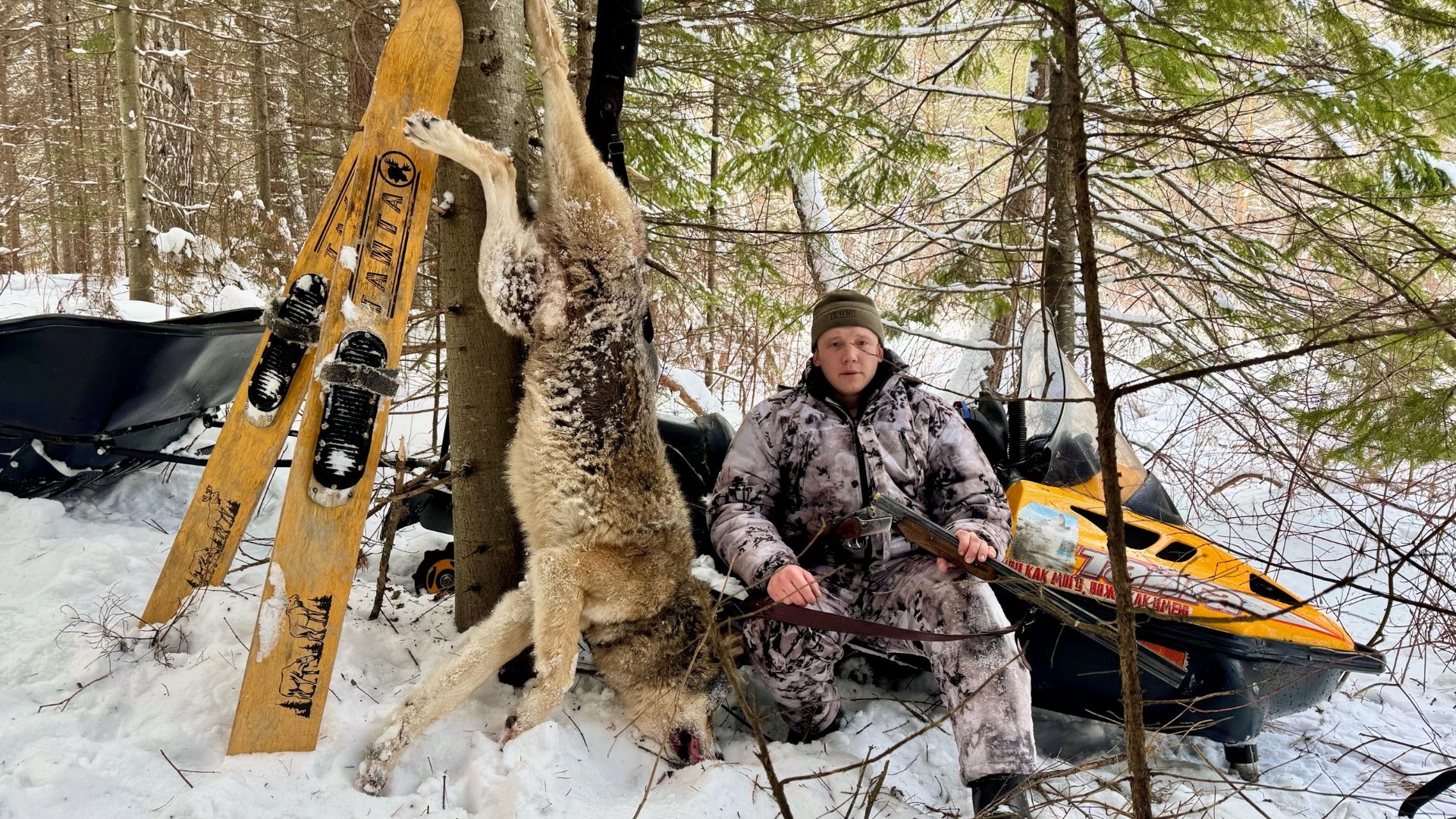 ДОБЫЛИ ОГРОМНОГО ВОЛКА. ПРОВЕРЯЕМ ТЫЧКИ НА НАЛИМА. ЕСТЬ ПОКЛЕВКИ. смотреть онлайн
