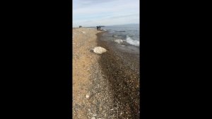 Бугульдейка,часть 8 берег Байкала