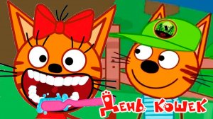 Три кота — Мультфильм | Мультики Три Кота для малышей | Сборник три кота смотреть