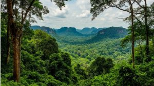 An ancient case. Древняя работа.