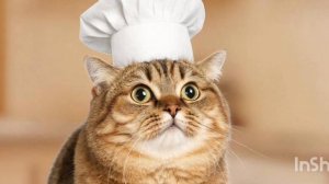 Аудиосказка Кулинарные приключения кота Василия