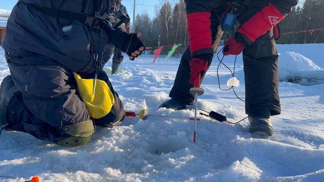 Форель смотреть онлайн