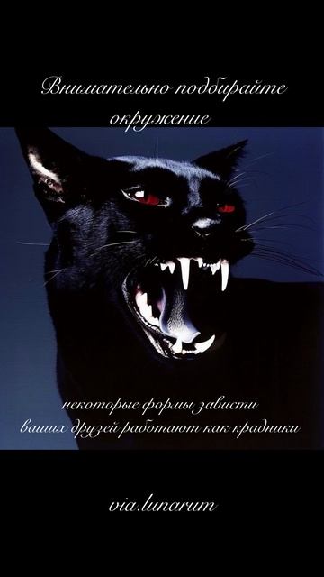 #магия #колдовка #ведьма #эзотерика #психология смотреть онлайн