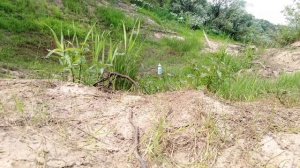 эксперимент с бутылкой ЧАСТЬ 14