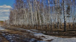 Весна ещё в начале (1962г)