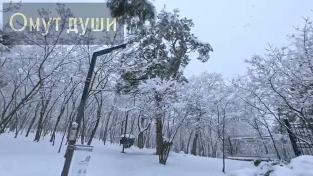 Вторая семья мужа. смотреть онлайн