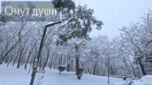 Вторая семья мужа.