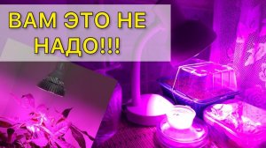 Фитолампа - РАЗВОД на Деньги.