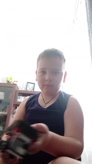 сборка прицепа